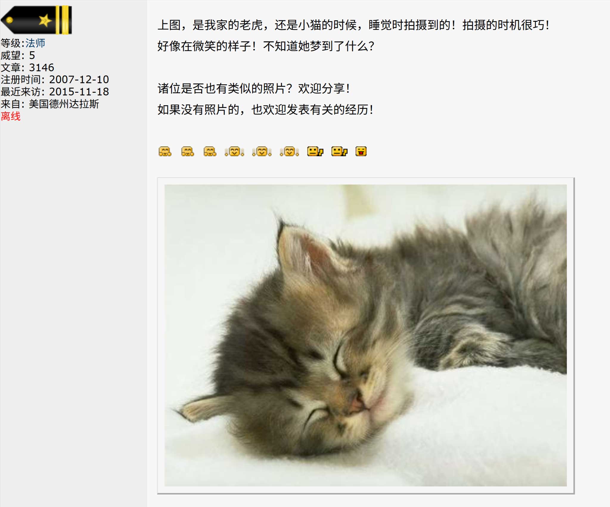 RAY头像小奶猫的来源，来自1994-1995年的照片